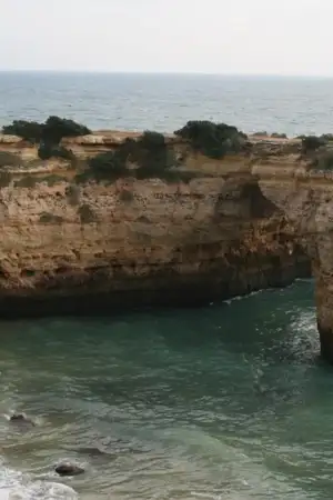 Ovos de dinossauro com 150 milhões de anos descobertos nas arribas de Torres Vedras